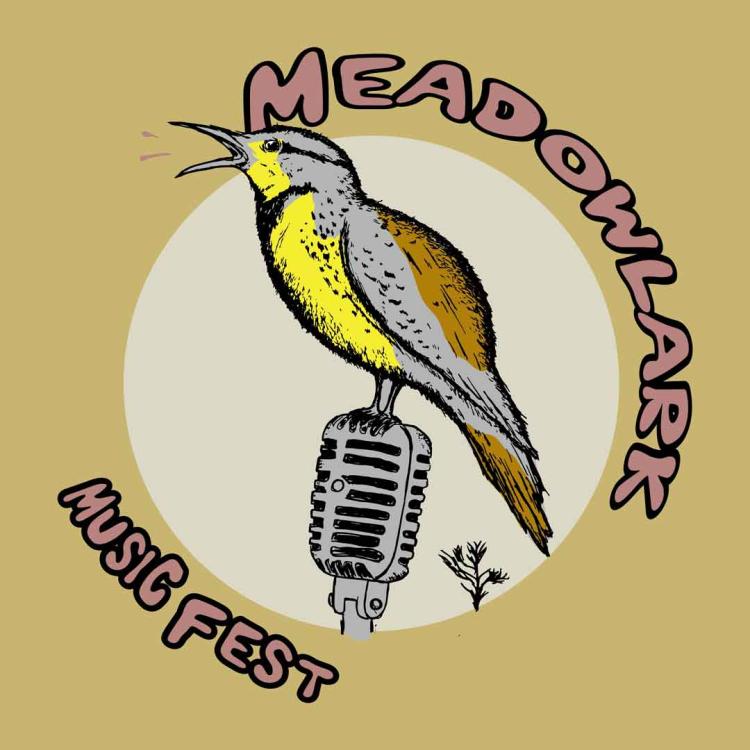 Meadowlark Music Fest & Camp 2025