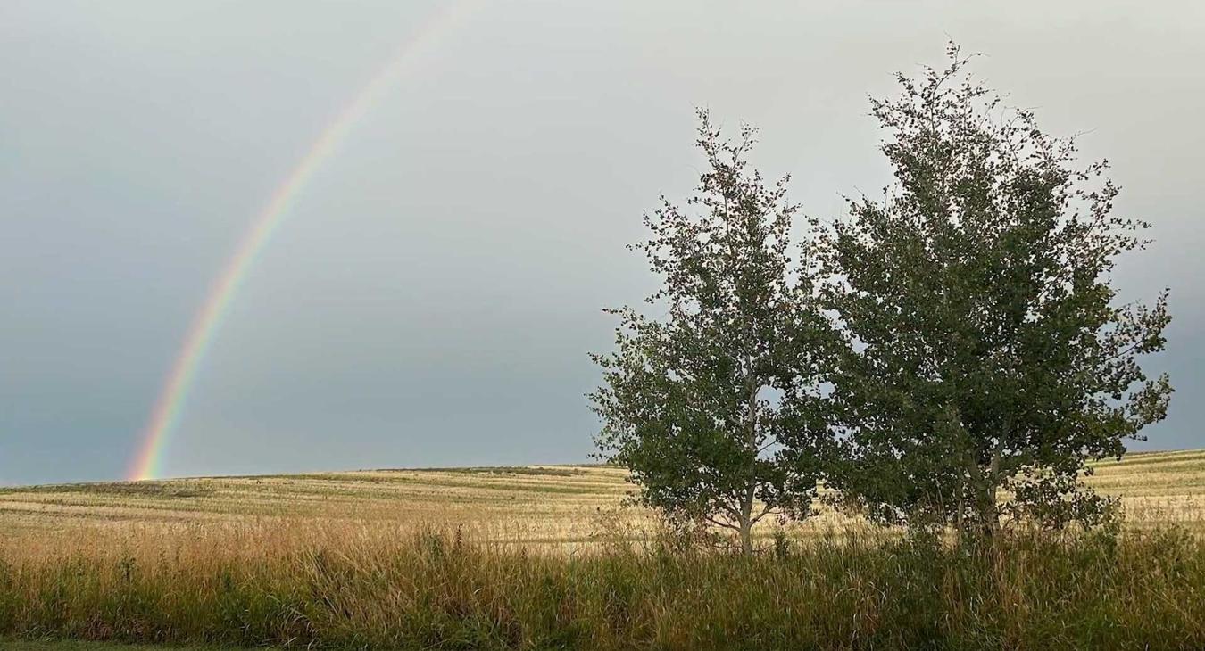 New Stage at Aspen Acres