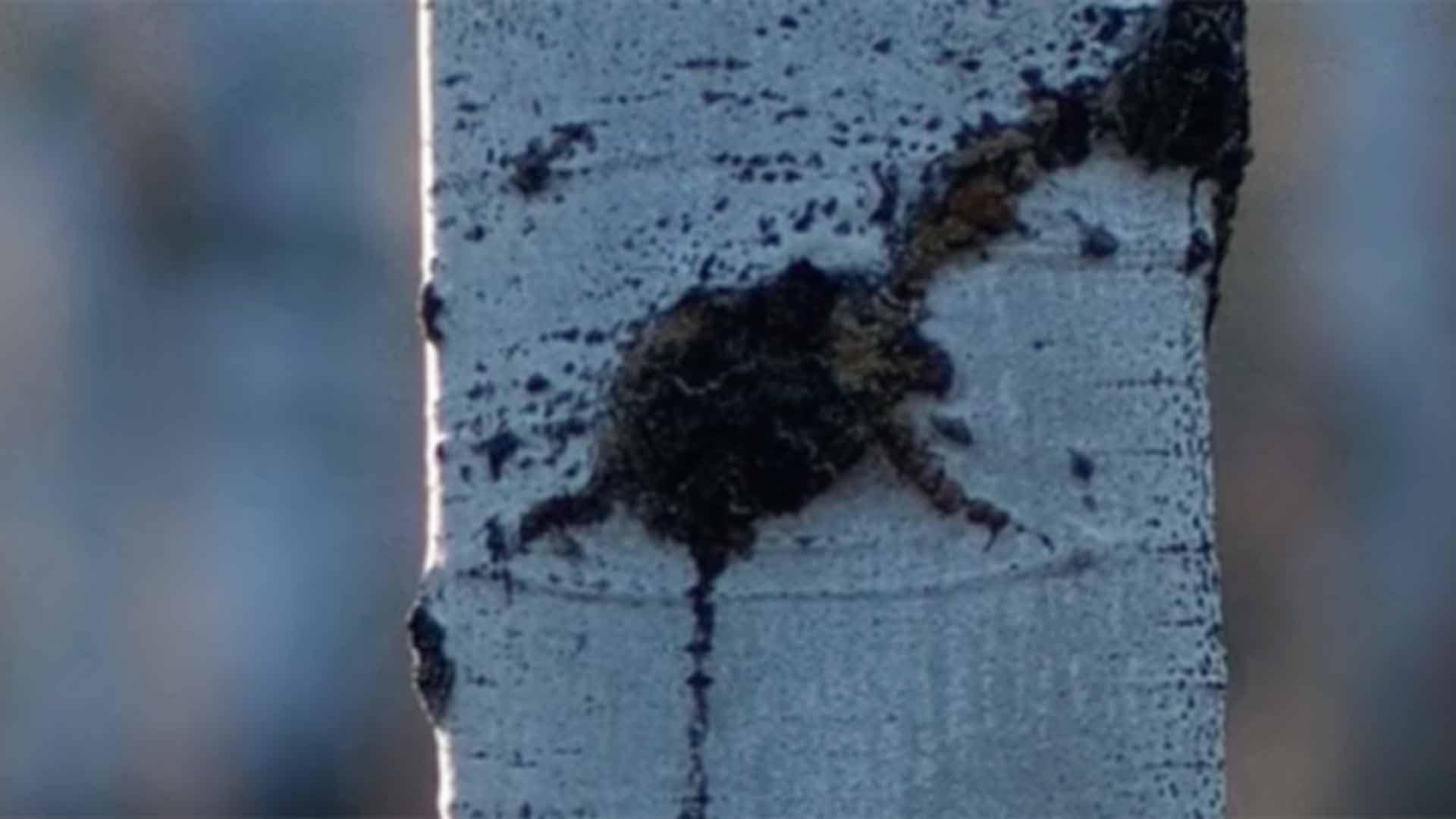 Yellowstone Golf Resort